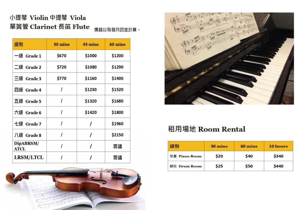 wiener music 
classic music courses
violin courses
room rental
